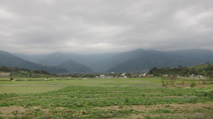 201537133530.JPG