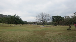 2015420221252.JPG
