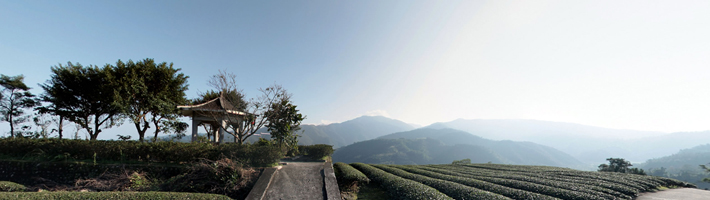 青山茶園周辺情報