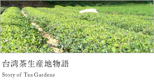 台湾茶生産地物語 Story of Tea Gardens