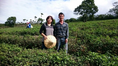 有機台湾原生緑茶(100g)