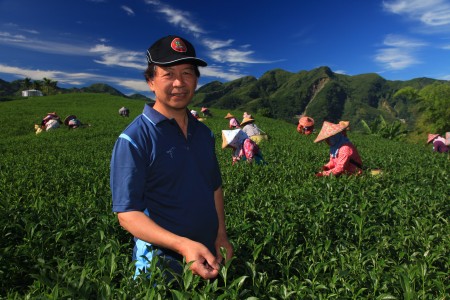 阿里山烏龍茶(100g)